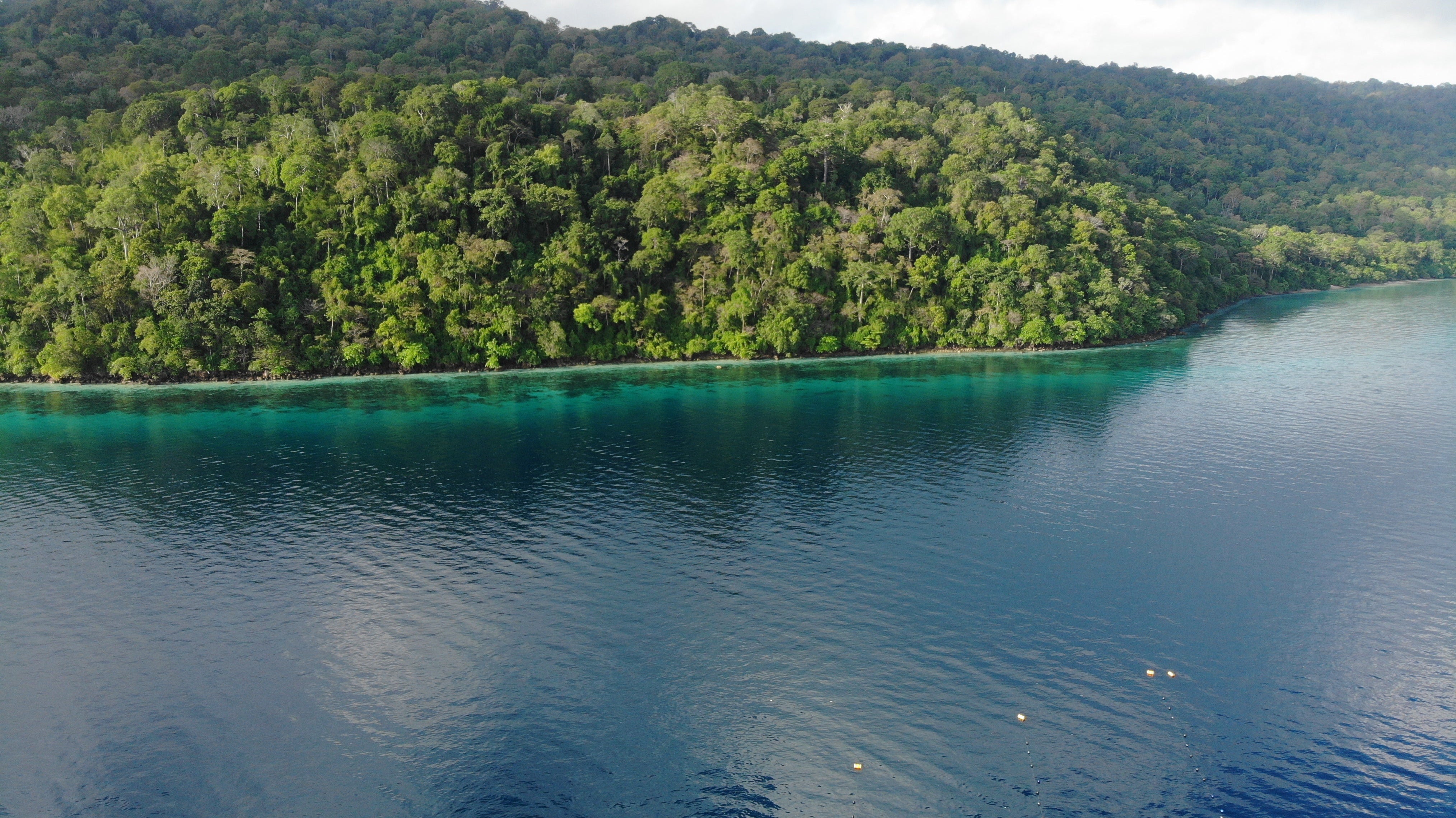 WHERE ARE AUTORE MODA SOUTH SEA PEARLS FROM?