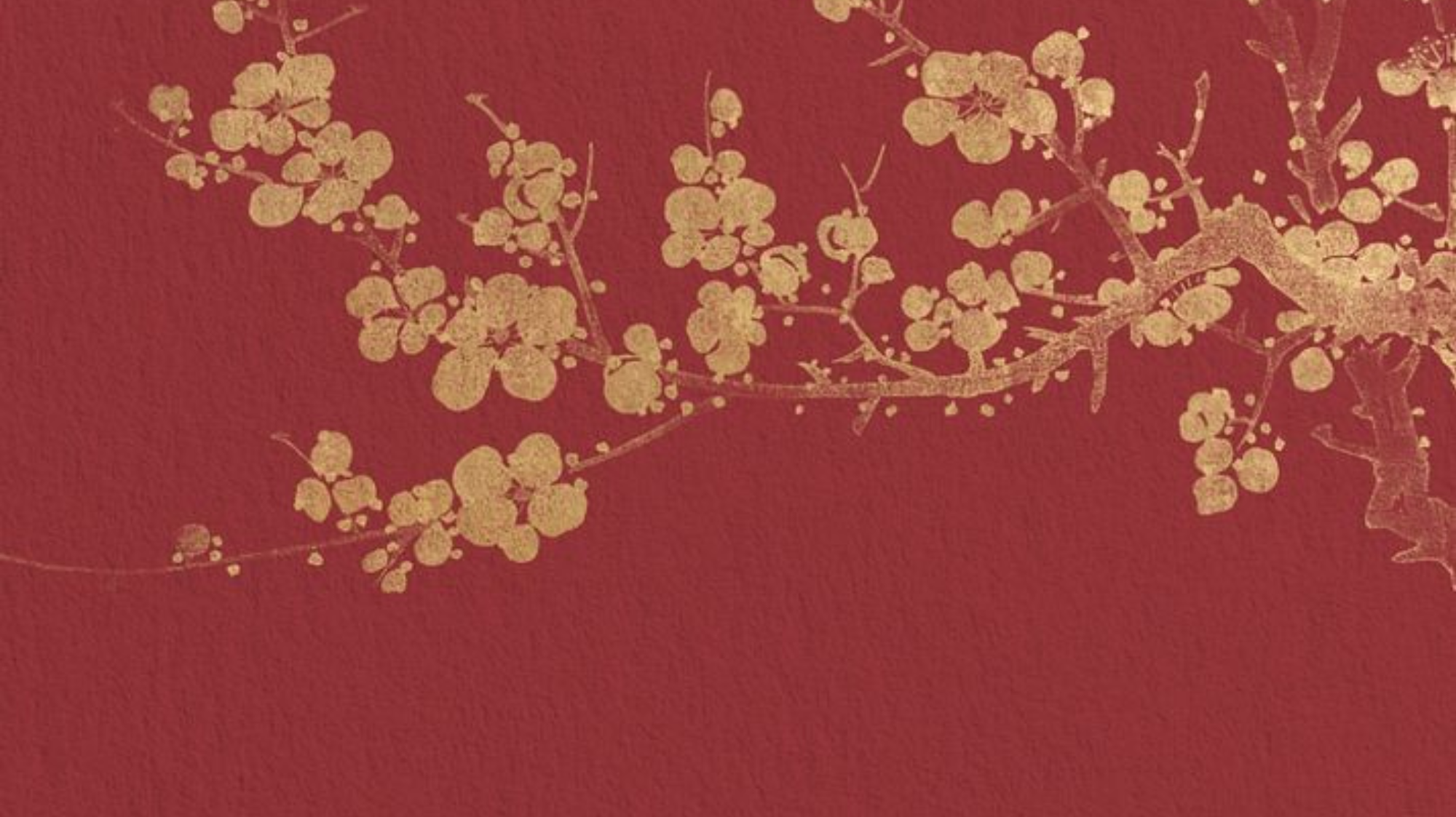 Lunar New Year: A celebration of Elegance and Prosperity with AUTORE MODA