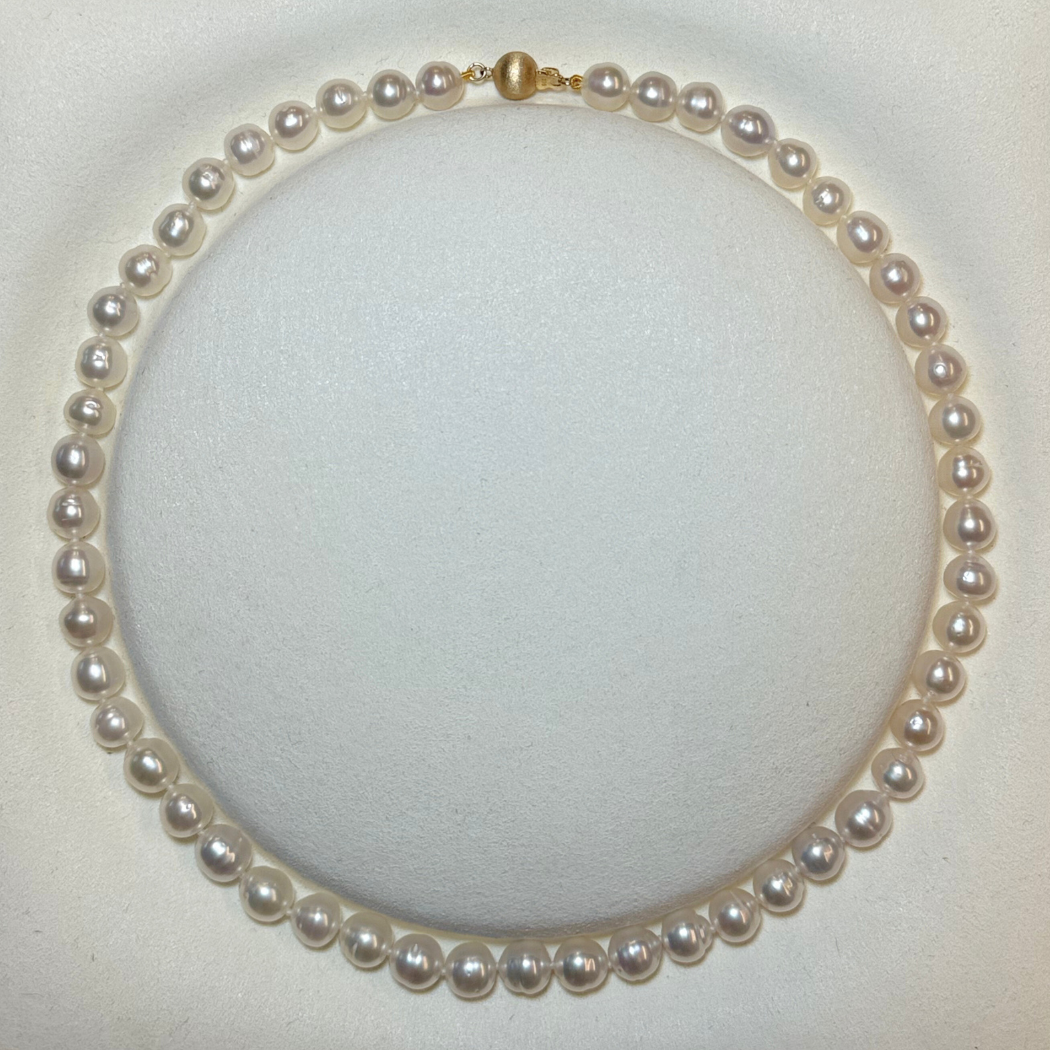 South Sea Pearl Necklace, Great for gifting and layering., an everyday essential. Solid 9k Yellow Clasp.