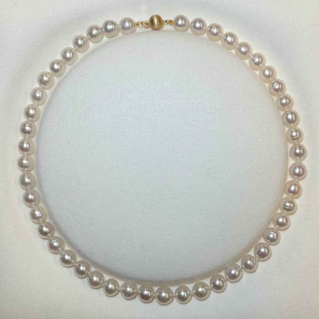 South Sea Pearl Necklace, Great for gifting and layering., an everyday essential. Solid 9k Yellow Clasp.