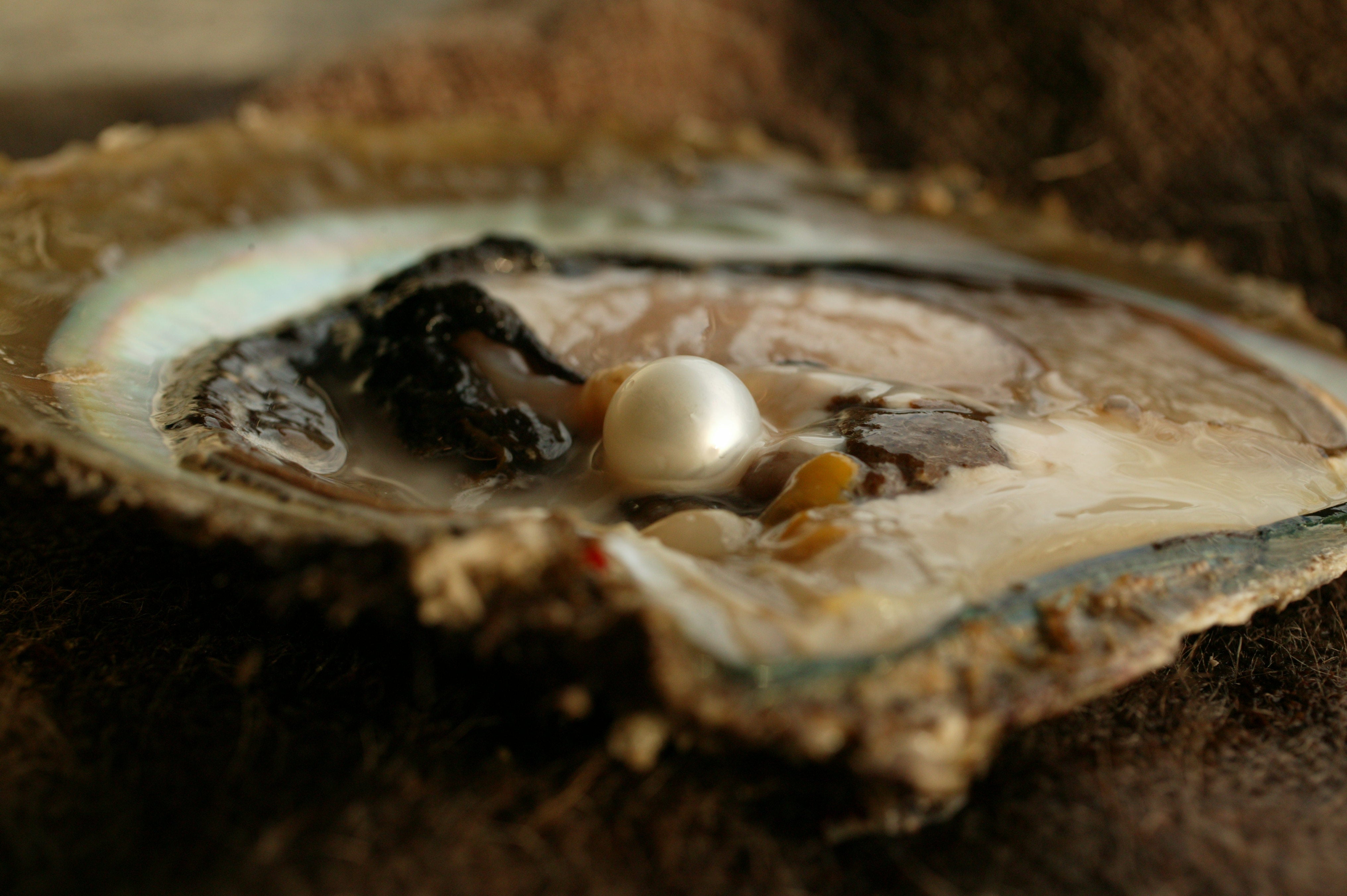 How To Tell If Pearls Are Real: 7 Ways To Spot Genuine Pearls