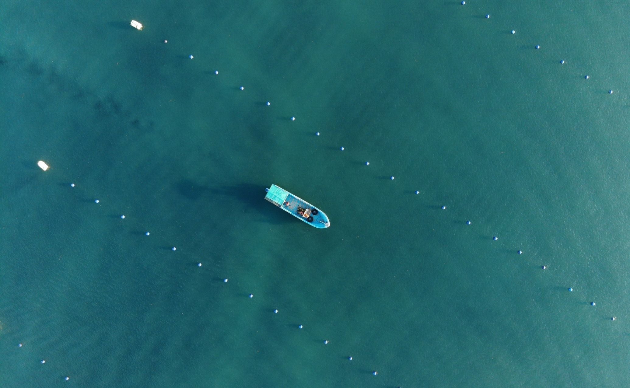 The 7 year Labour of Love