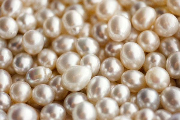 What makes South Sea Pearls so special?