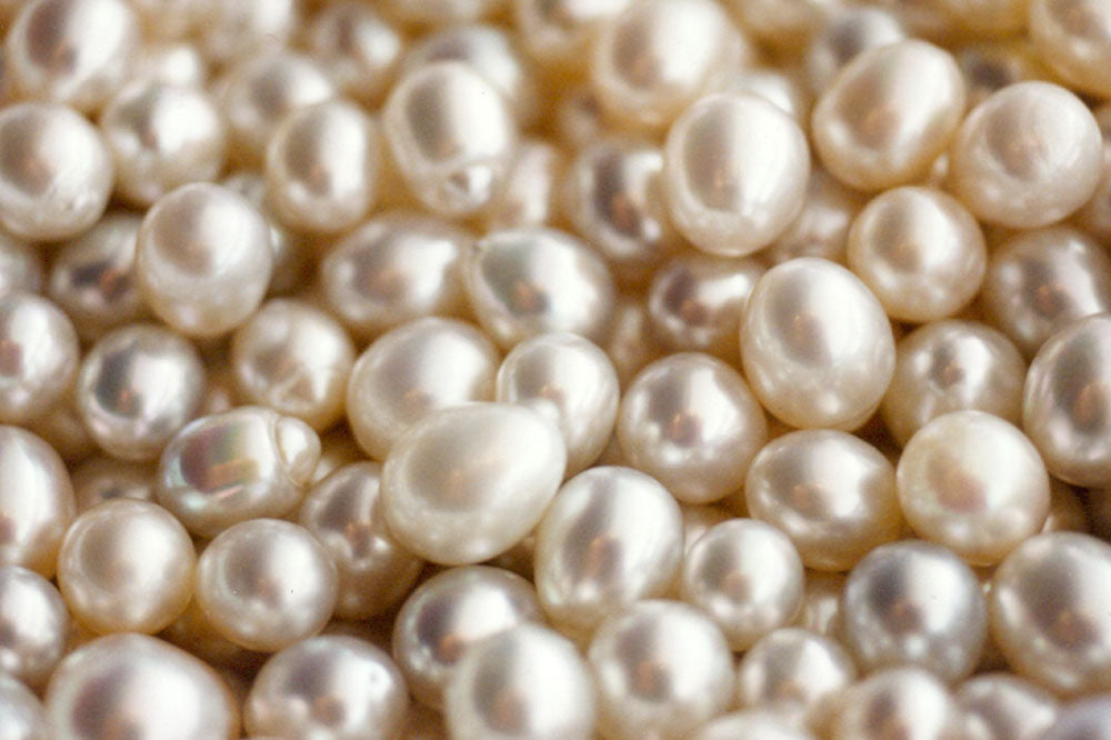 South Sea pearls close-up, AUTORE MODA