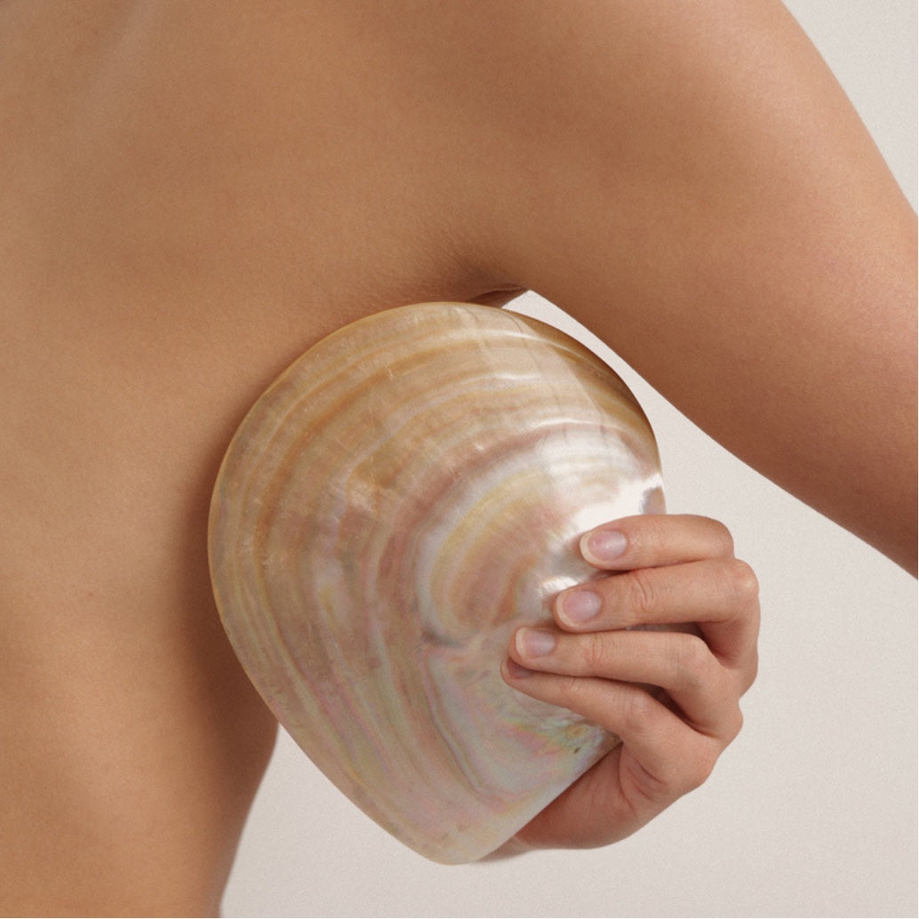 South Sea Pearl Shell A grade – mother of pearl shell, Autore Moda