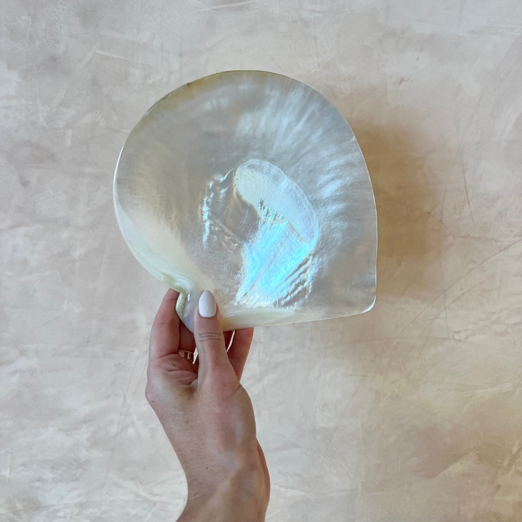 South Sea Pearl Shell A grade – mother of pearl shell, Autore Moda